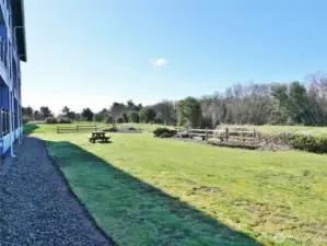 Backyard of the Nautilus building.