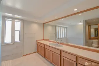 Large Guest Bathroom