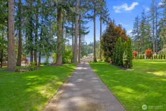 Over 1 acre, mature trees, blacktop driveway