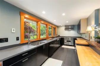 Two kitchen sinks, two dishwashers, one great range. Engineered Quartz and butcherblock countertops. Great solid custom cabinets.