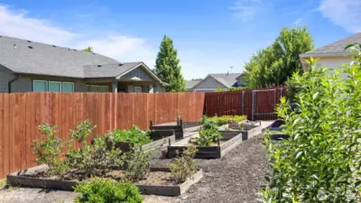 Garden beds.