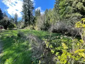 A bright and sunny parcel on Vashon Island