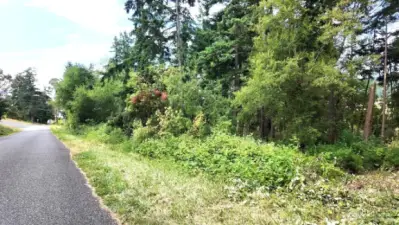 Wooded property along Wagner Road
