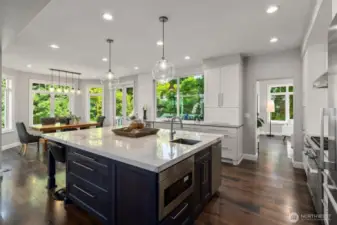 A beautifully renovated kitchen featuring high-end appliances, luxe finishes, and expansive windows for all-day natural light.