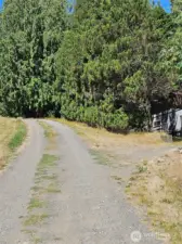 Looking from the bottom of the drive at  the Brownsville Highway up the property line to the towering Redwoods at the top of the hill.  This is the entry for the lot.