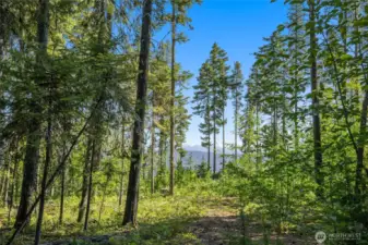 Level homesite