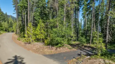 Street view of property