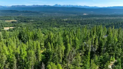 Aerial views of neighborhood and property
