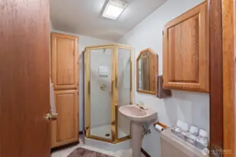 Bathroom with shower downstairs!