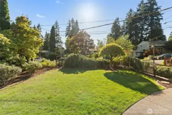 LUSH mature landscaping and privacy.