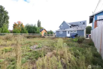 Backyard of the main house