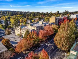 Surrounded by greenery and fall colors!