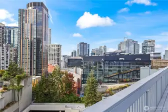Views from Rooftop Deck