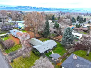 View to the East Blue Mountains behind