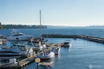 Carillon Point Marina