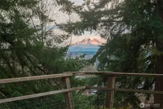 Mt Rainier in the distance