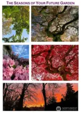 The everchanging live art that nature has in store for you in this home.