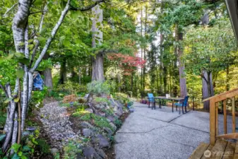Patio and backyard