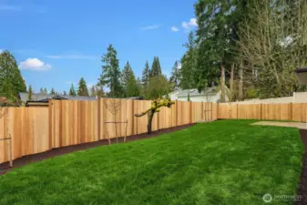 South facing backyard