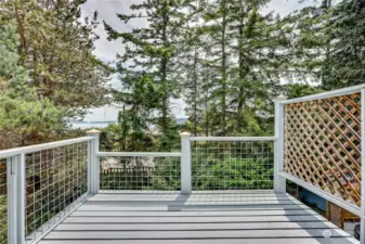 Deck views to the Indian Island Bridge and Mount Rainier