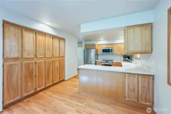 Built in storage/ pantry cabinets