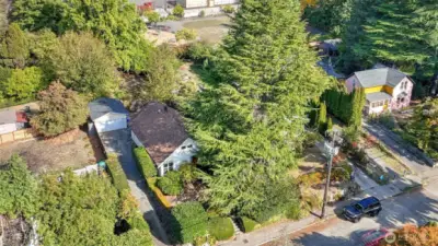 Surrounded by mature trees, this home combines a private retreat with a community vibe, enhanced by a long driveway and plenty of parking.