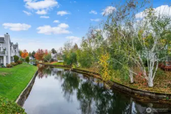 Beautiful water features attract wildlife year round.