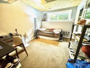 Lower level bedroom 2