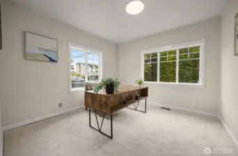 Downstairs Bedroom