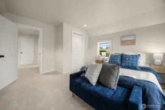 All new Carpet