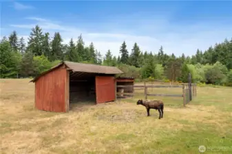 Animal Shelter