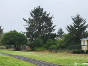 Looking from the 1st T toward the property.