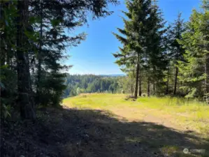 Lots of cleared areas for outbuildings or animals.