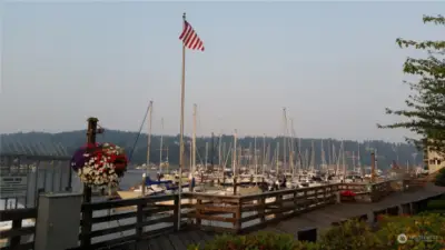 view from boardwalk