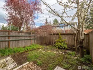 Another look at the garden space.