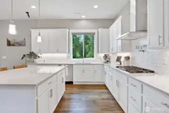 Pental solid quartz counters, soft close drawers, extra deep sink, pendant lighting, Anne Sacks tile backsplash.