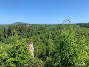 view from neighboring property