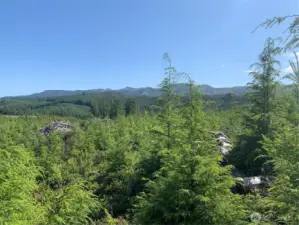 view from neighboring property