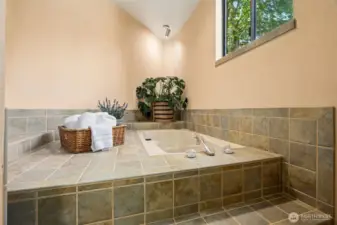 Primary bathroom soaking tub.