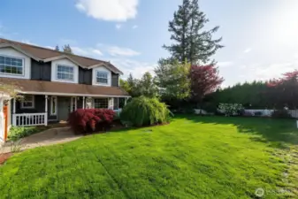Front yard