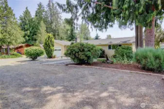 Corner of lot looking towards house.