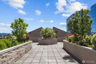 Elegant entrance to Bellevue Pacific Tower with secured access and professional concierge service.