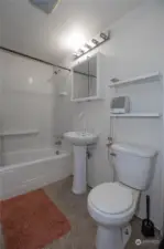 Main floor bathroom