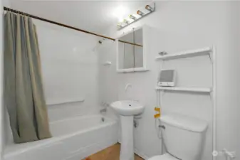 Main floor bathroom
