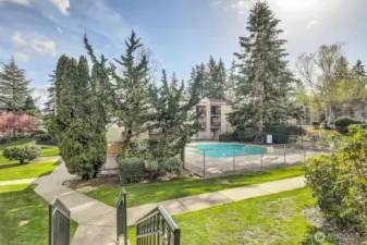 Community Outdoor Swimming Pool