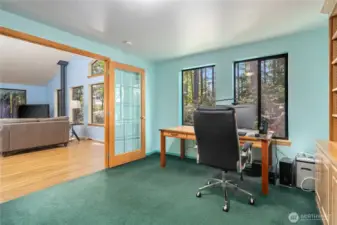 Bedroom/Office off Family room