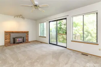 Lower level family room