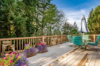 Lovely outdoor living space to host BBQs or to just unwind.