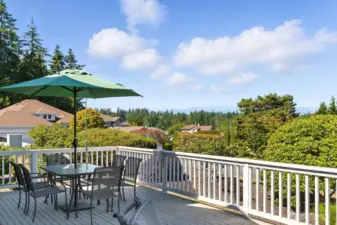 Tranquil views of the Olympic Mountains & glorious sunsets from your large deck!