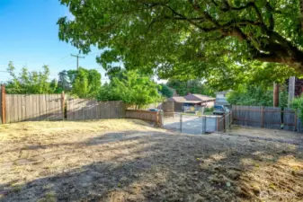Large fully fenced backyard